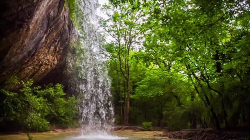 Waterfall in a Wild Forest