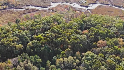 Aerial View of a Colorful Deciduous Forest in Autumn with Multicolored Yellow Orange and Green
