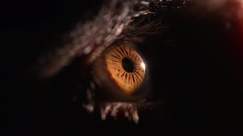 Man Opens His Eyes and Looks Up