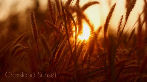 Coucher de soleil des prairies