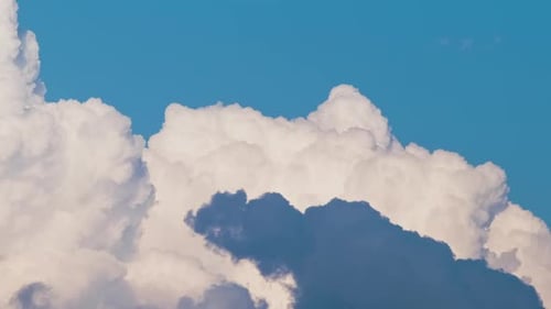 Zeitraffer weißer, geschwollener Cumuluswolken, die sich am blauen Sommerhimmel bilden