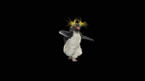 Penguin Dancing HD