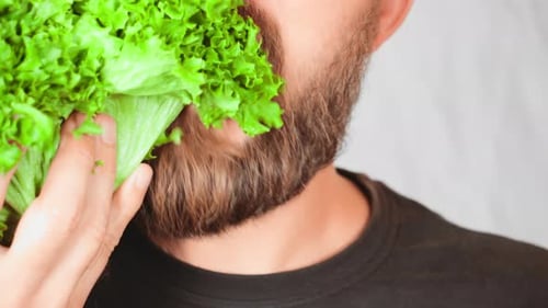 Close Up Face Handsome Man Eating Leaf Vegetable