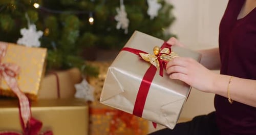 Woman Placing Christmas Gift Underneath Decorated Tree