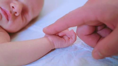 Loving Parent Touches Newborn Baby's Hand