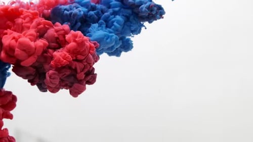 Red and Blue Ink in Water Mixed Close Up. White Background