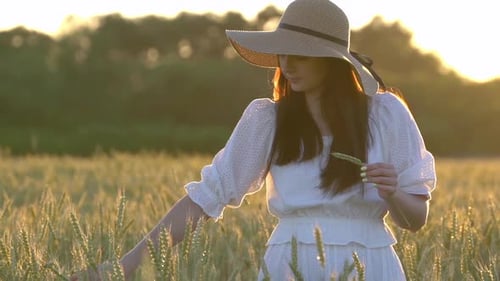 Young Girl Walking in Slow Motion Through a Wheat Field