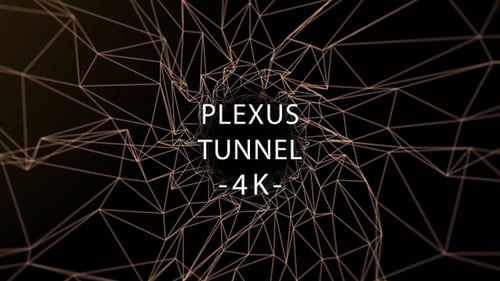 Plexus Tunnel