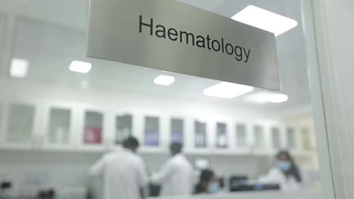 Haematology Lab with Scientists, Medical Setting