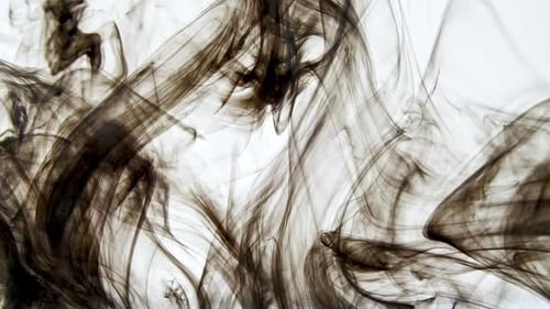 Abstract Patterns of Black Ink Swirling in Liquid