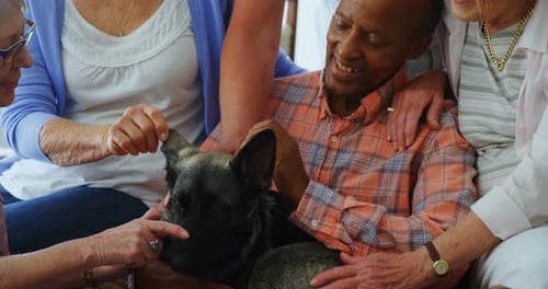 Senior friends petting a dog at retirement home 4k