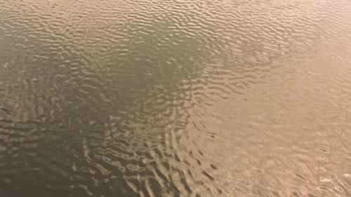 Wellen im Wasser. Reflexion der Sonnenstrahlen.
