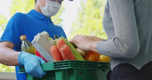 Woman customer checking grocery in the basket that ordered online and delivered by deliveryman