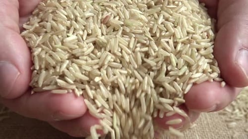 Hands Holding Brown Rice Grains on Burlap