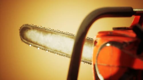 Small Professional Chain Saw