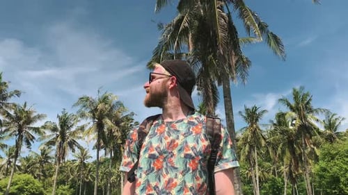 Bearded Man Explores Tropical Palm Tree Grove