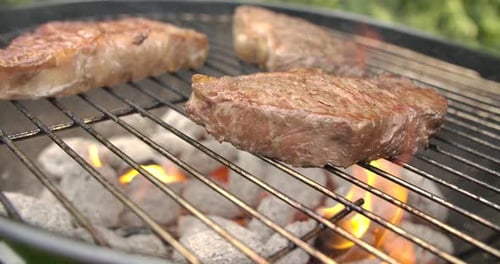 Sirloin on a Grill
