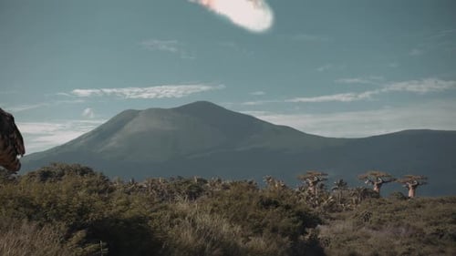 Majungasaurus regarde un météore s'approcher de la Terre préhistorique