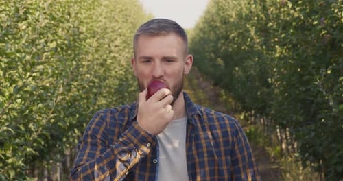 Außenporträt eines jungen Mannes, der frischen Apfel beißt und den natürlichen Geschmack im Garten genießt