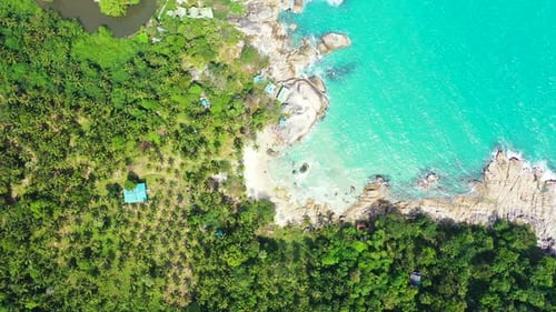 Beautiful seaside with palm trees forest near rocky coastline of tropical island washed by turquoise