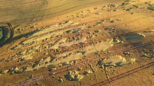 Vue aérienne du champ de céréales avec pointes couchées