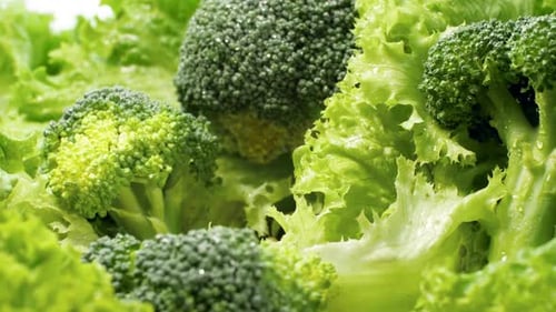 Macro Dolly Video of Fresh Green Lettuce Leaves, Broccoli and Cabbage. Concept of Healthy Nutrition