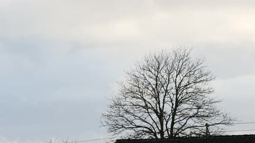 Time lapse of clouds passing by a bare tree in Germany during early spring. Static telephoto shot wi