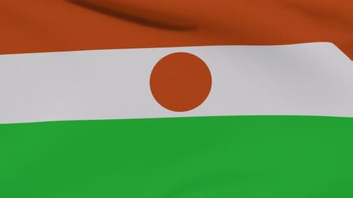 Realistic Waving Niger National Flag Loop