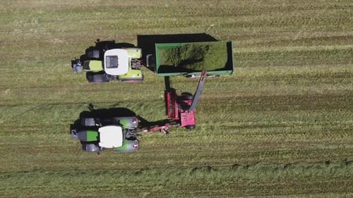 Graserntemaschinen im Feld