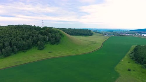 Drohne mit Luftaufnahme fliegt über ein grünes Weizenfeld