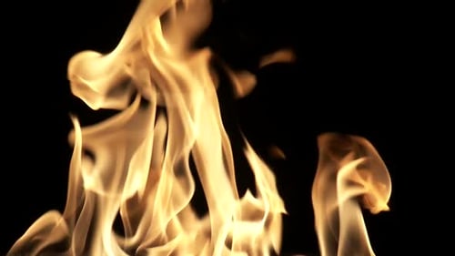 Golden Flames Dancing on Black Background