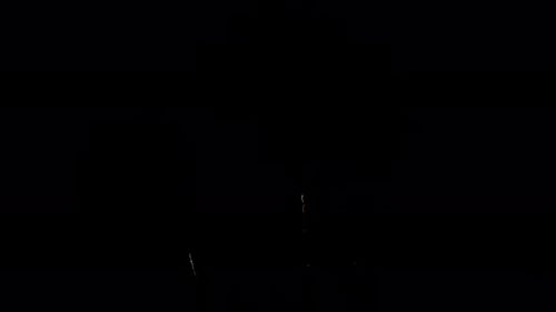 Vibrant Fireworks Explode in the Night Sky