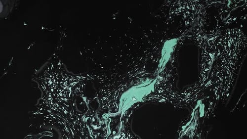 Fluid Art Black Biscay Green Paint Mix Motion
