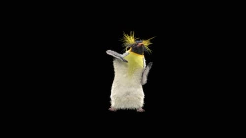 Penguin Dancing HD