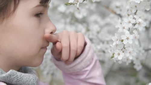 Pollen allergy.