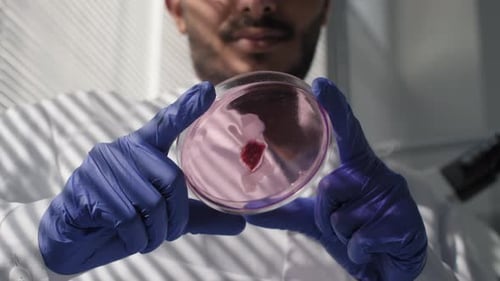 Close Up Of Lab-Grown Meat Probe