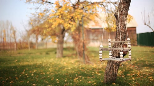 Rustic Wooden Swing in an Autumn Landscape