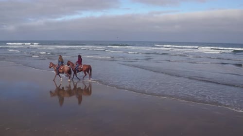 Aerial view of women riding horses at beach