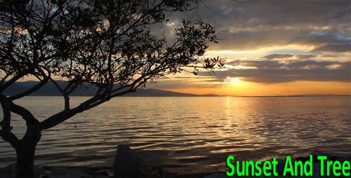 Scenic Sea at Sunset with Silhouette of Tree
