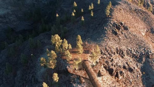 Lost Crashed Plane