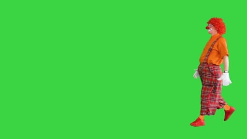 Clown Walking By in a Funny Manner on a Green Screen Chroma Key