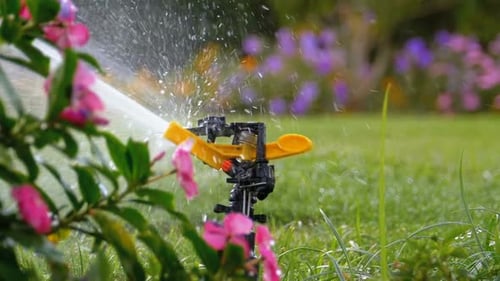 Automatic Lawn Sprinkler on the Garden with Green Grass in Slow Motion