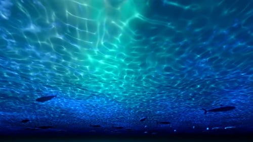 Fische unter dem blauen Ozean