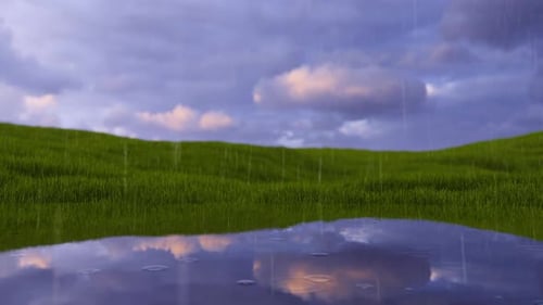 Meadow