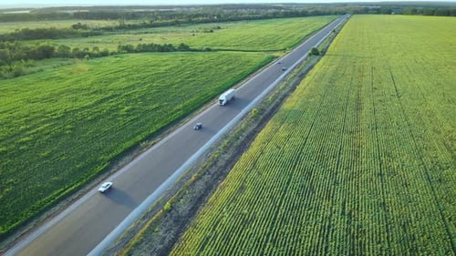Cars Drive on Highway in Countryside