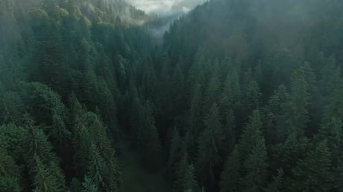 Vista aérea del hermoso paisaje de montaña