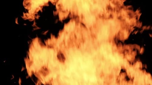 Bright Orange Flames Flicker Against Black Background