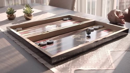 Backgammon Pieces and Dice on Board