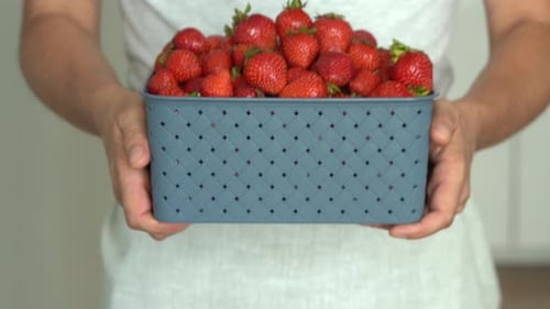 Person Holding Container of Fresh Strawberries