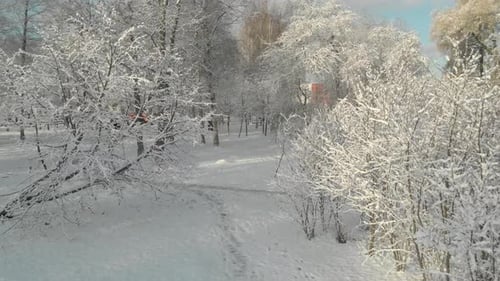 Der Beginn des Winters in St. Petersburg